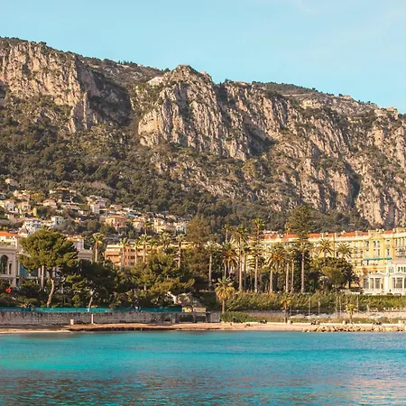 公寓 Private Pool Beside Monaco